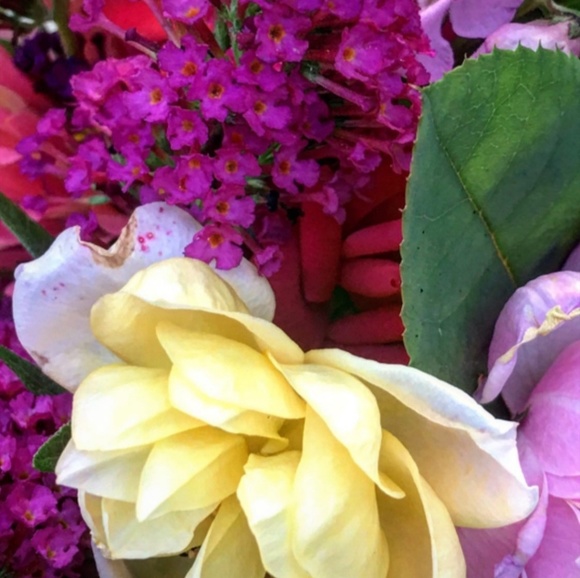 Meet your Posher, Carmen - Picture 1 of 1